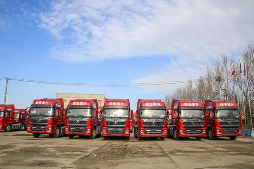 駿博與駿和 以點帶面，實現銷量與服務雙提升的卡車銷售新典范